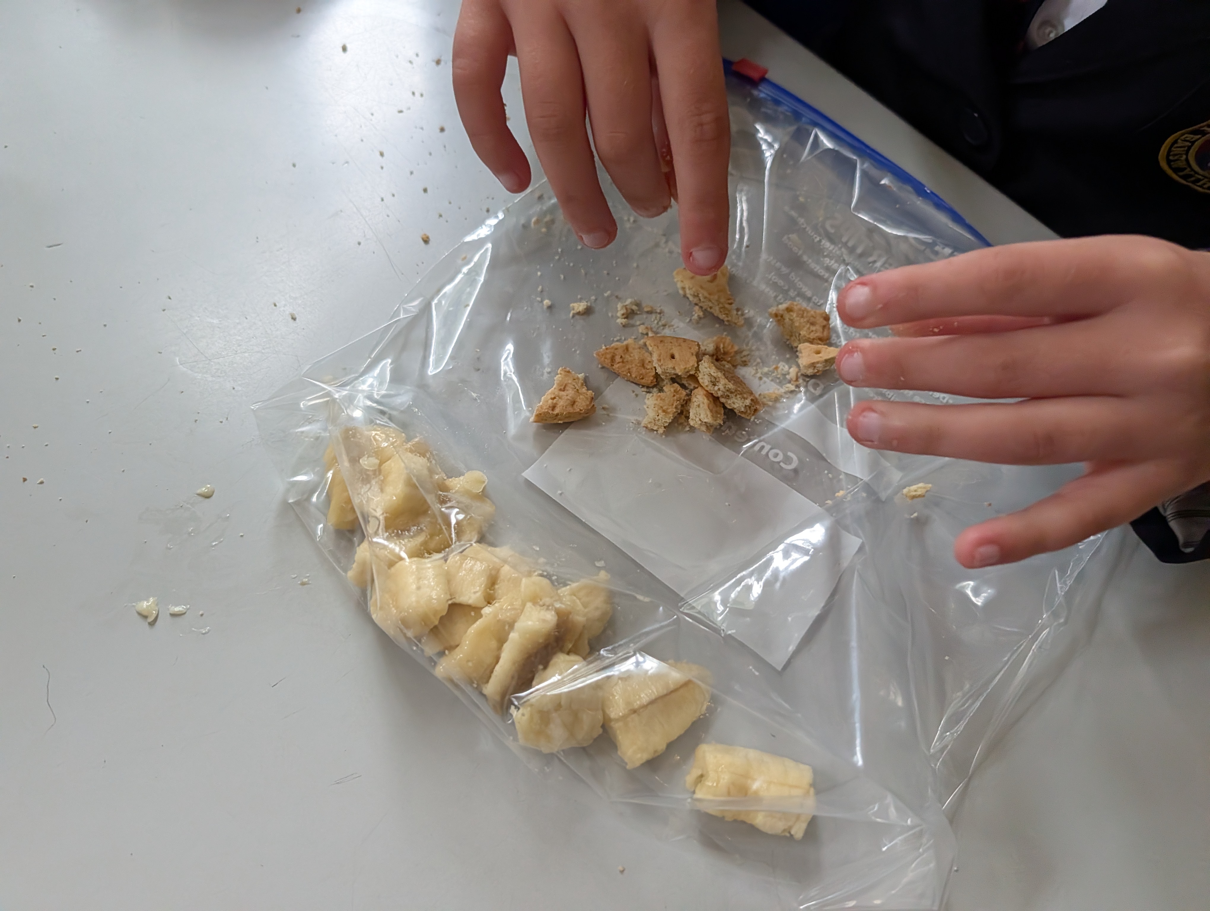 Year 4 science digestion experiment 4